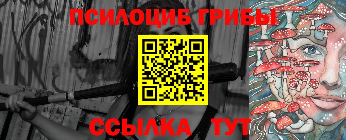 Галлюциногенные грибы Psilocybine cubensis Альметьевск
